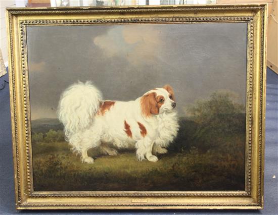 Henry Bernard Chalon (1770-1849) Portrait of a King Charles Spaniel standing in a landscape 27.5 x 35in.